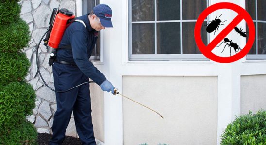 Sarıgöl Kene İlaçlama böcek ilaçlama ve haşere kontrolü — ilaclama-tr.com